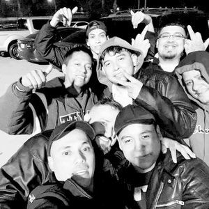 Meet your Posher, Salomon